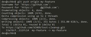 Pushing a New Remote Repository with Git