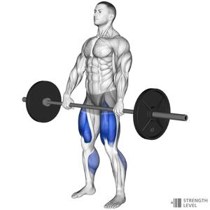 Optimal Deadlift Reps for Strength Gains