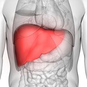 13 Ways to Restore Liver Health
