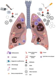 Can Your Lungs Heal After Vaping?